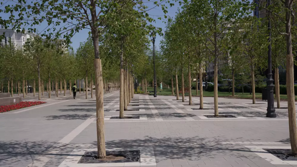 Депутат сравнил стоимость деревьев в Астане с пенсиями казахстанцев