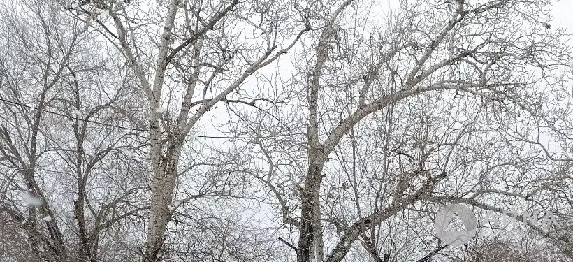 Гололед и низовые метели: о непогоде предупредили жителей ряда регионов Казахстана