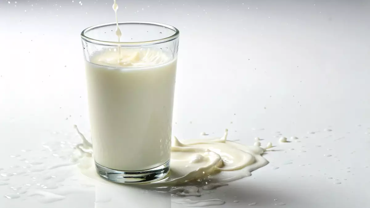 Диетолог назвал самое полезное молоко и раскритиковал растительные альтернативы