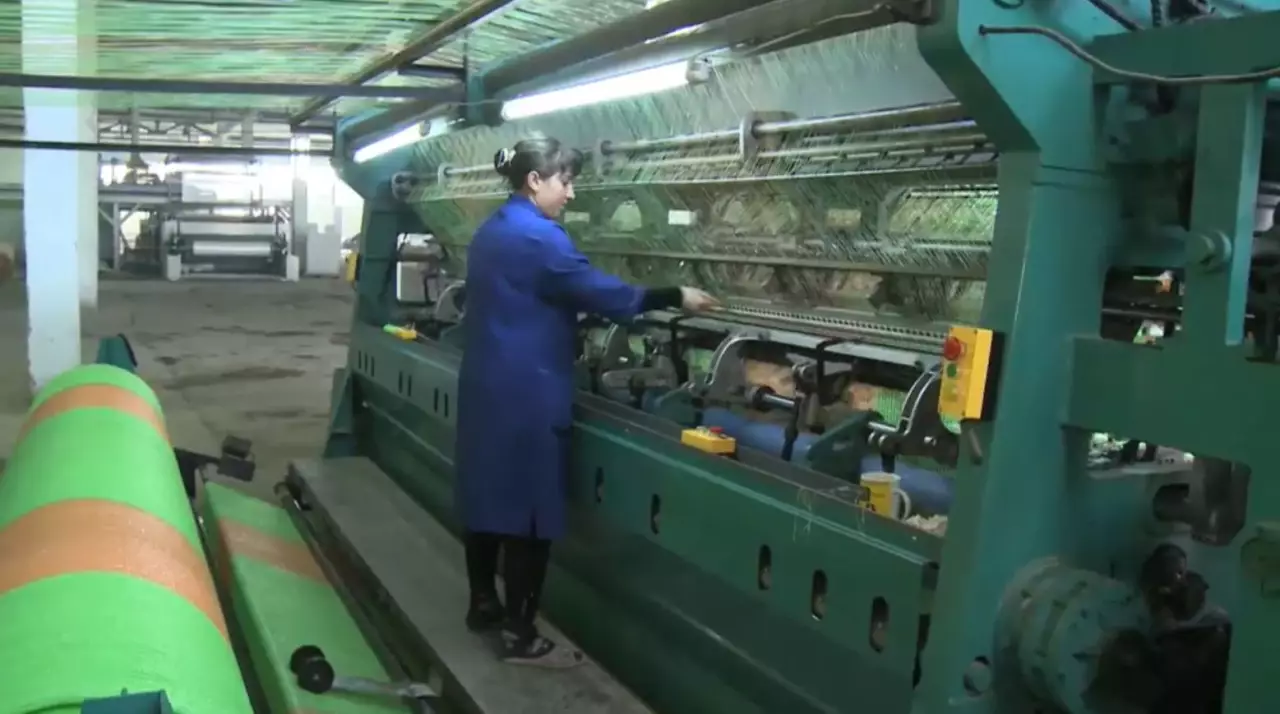 Бизнестің салық есептілігі 30 пайызға қысқарады