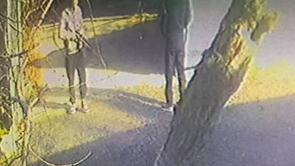 “Перебил позвоночник“: казахстанец расстрелял собак из ружья на глазах детей