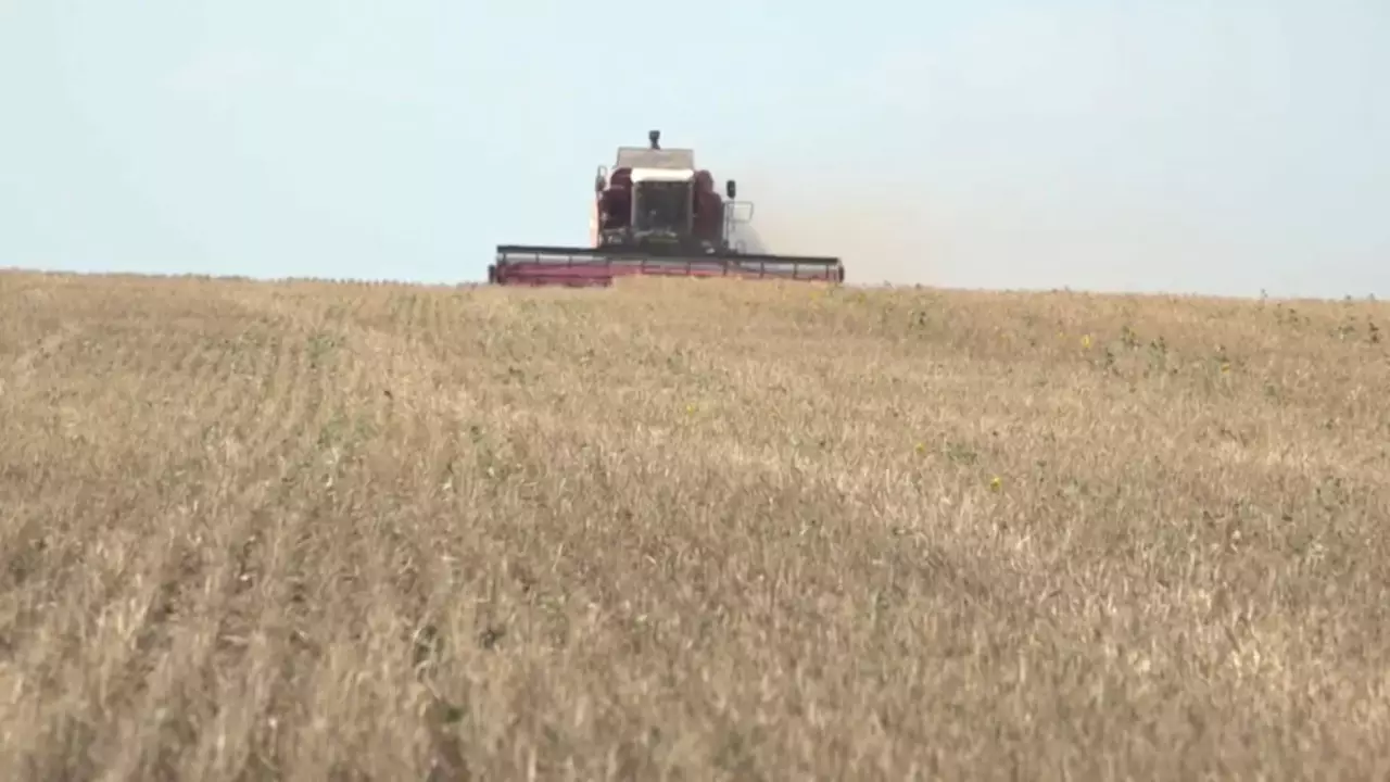 Ауыл әкіміне қойылатын талаптар күшейді