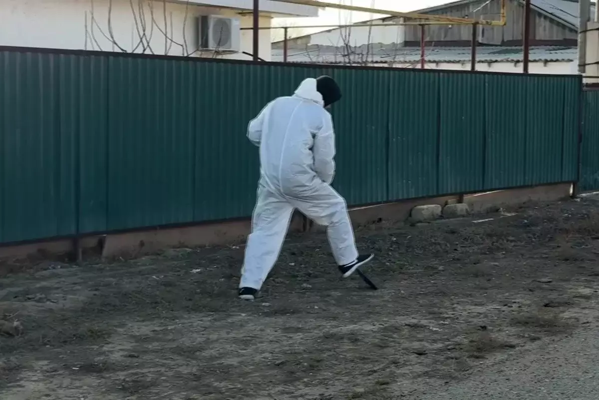 Как в Атырауской области чиновники борются с грызунами