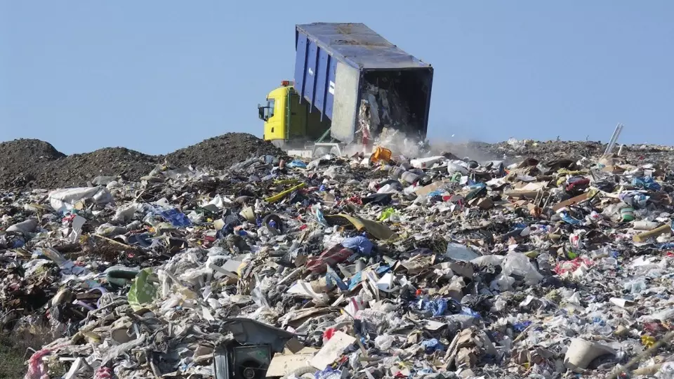 Жаңа адамдар 8,6 гектарлық заңсыз қоқыс алаңын жоюға қол жеткізді