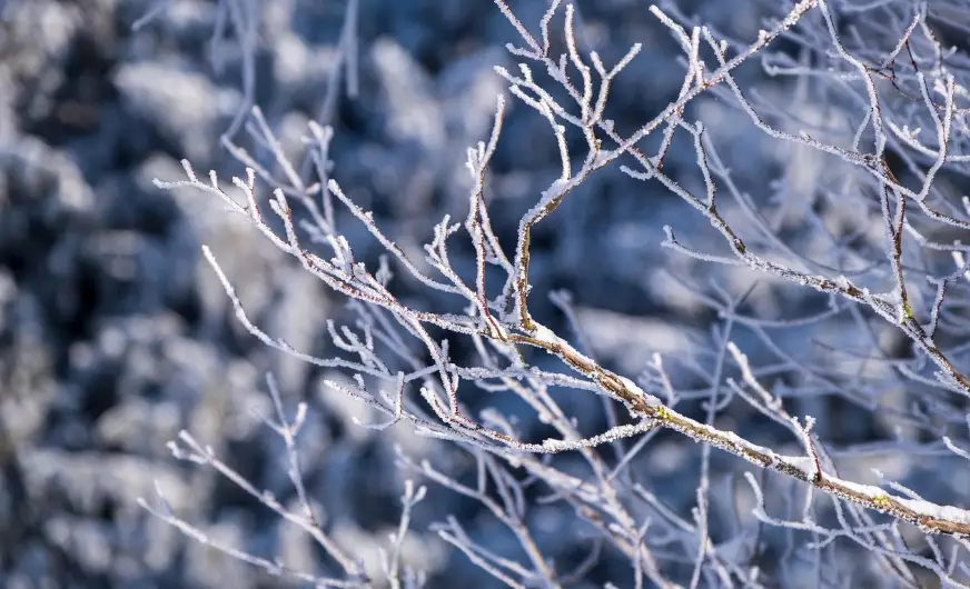 Штормовые предупреждения на субботу объявлены в 13 областях Казахстана