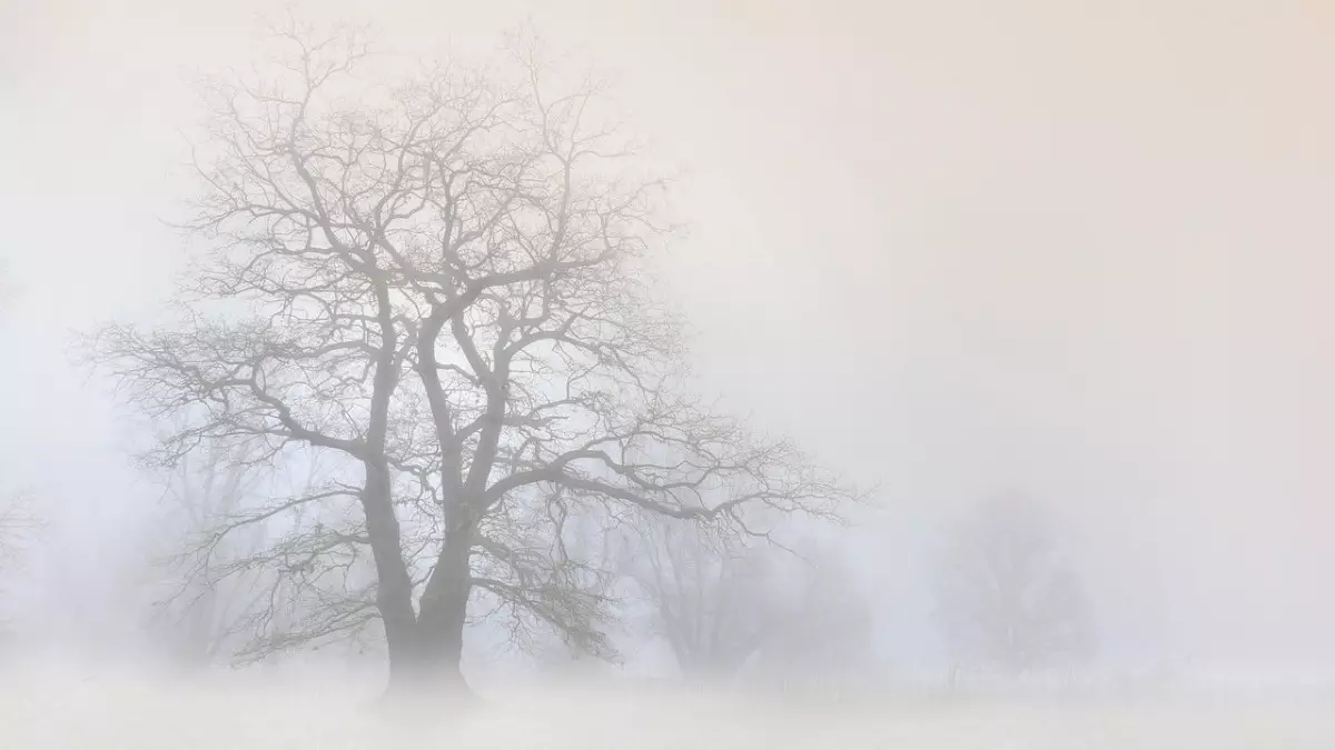 Тұман, көктайғақ: 13 облыста дауылды ескерту жарияланды