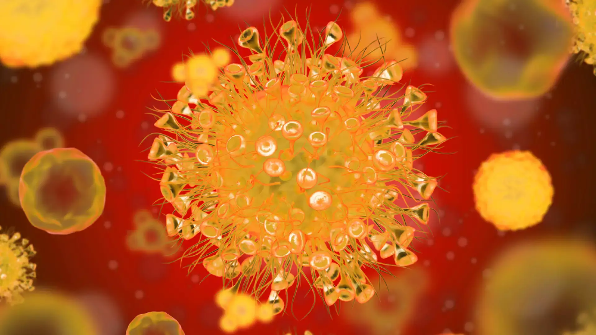 Жаңа пандемия қаупі: Құс тұмауы COVID-19-дан несімен қорқынышты?