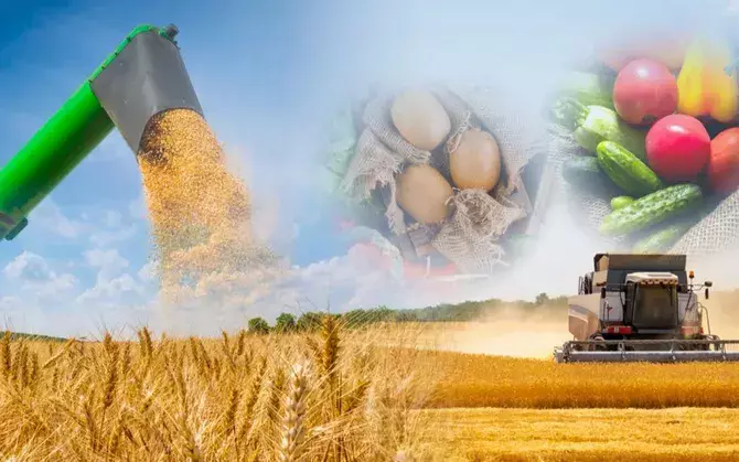 Токаев отметил быструю трансформацию в казахстанских селах.