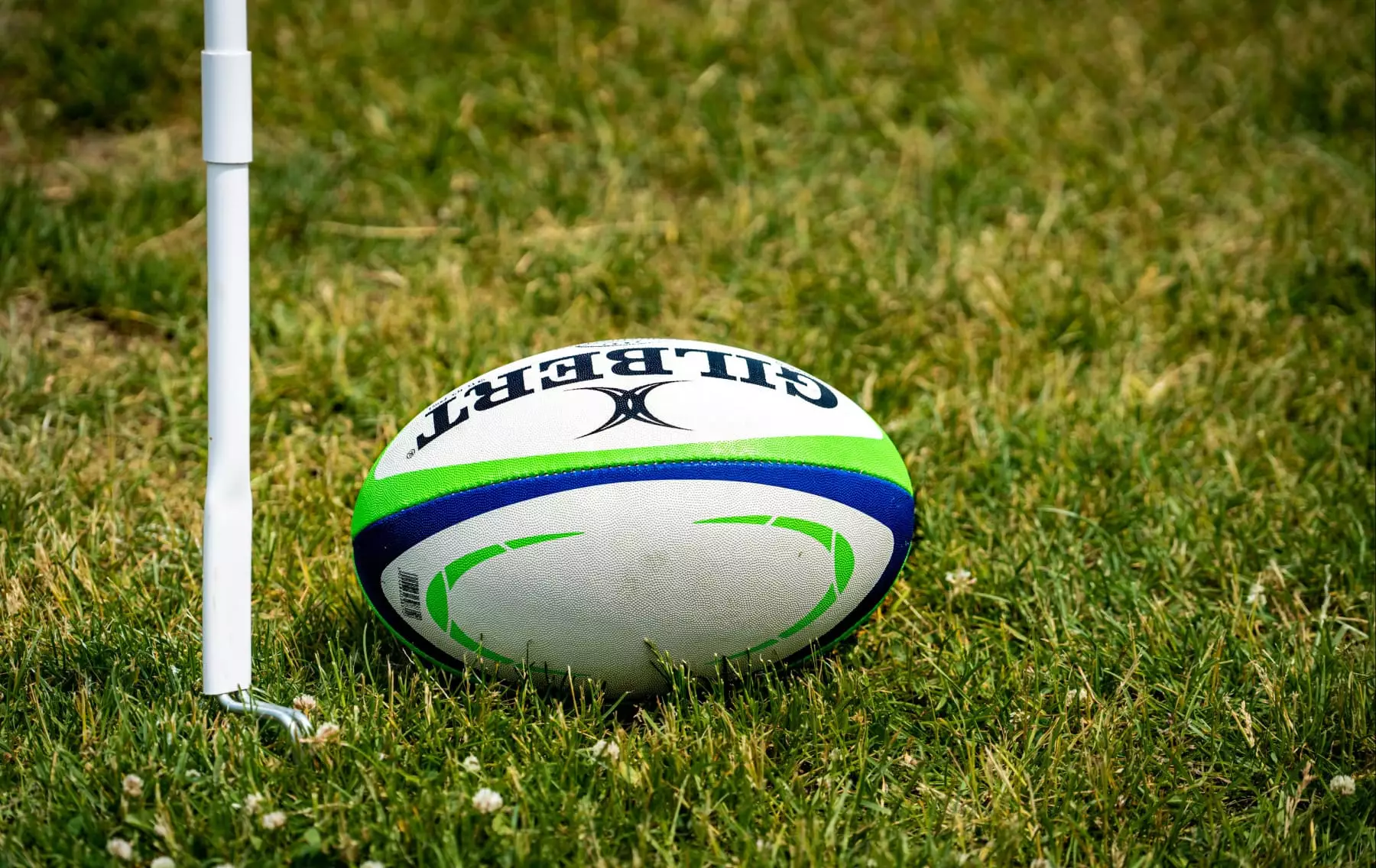 Қазақстандық регбистер әлемге Қара жорға биін көрсетті (ВИДЕО)