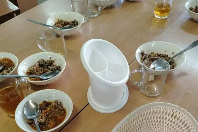 Петропавлдағы мектепте оқушыларға берілген тамақтан жәндіктер табылды