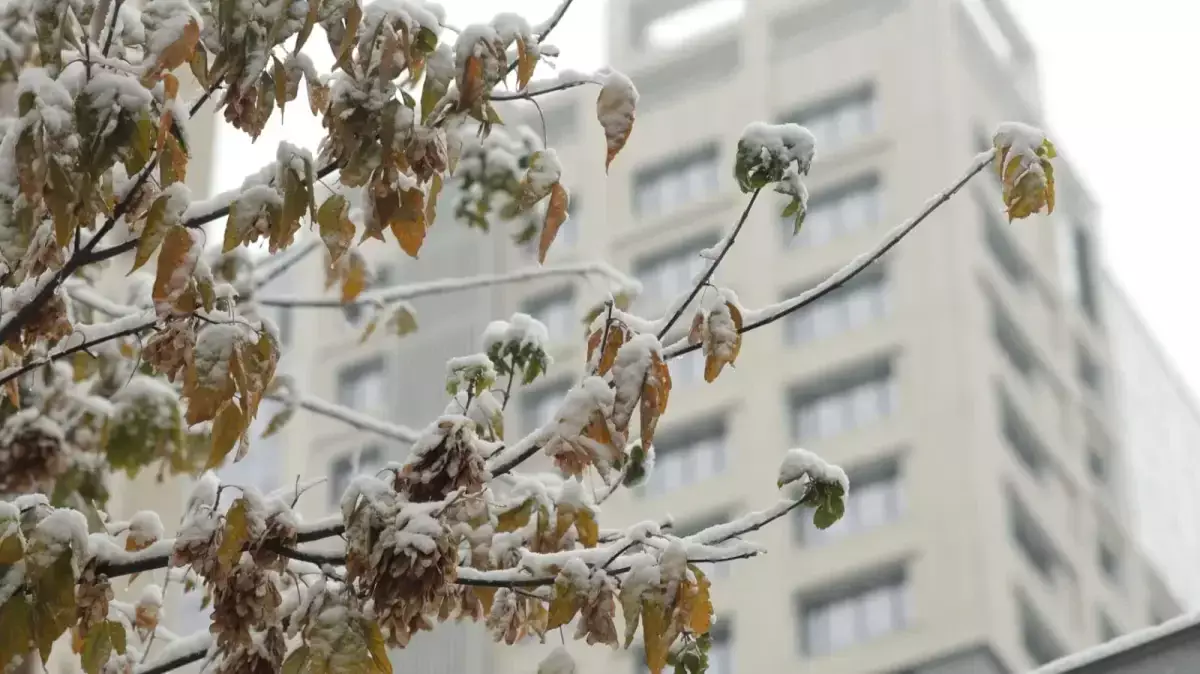 Тұман, жел: 30 қарашаға арналған ауа райы болжамы жарияланды