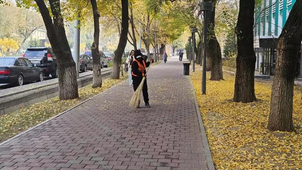 "Таза Қазақстан": Алматыда шаралар күшейтілді