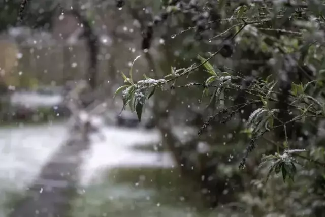Жаңбыр мен қар: Десалыс күнге арналған ауа райы болжамы жарияланды