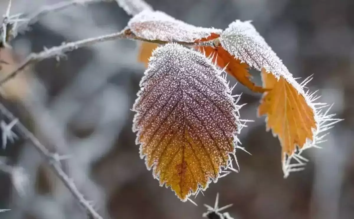 Қазақстанда алдағы күндері ауа райы қандай болады