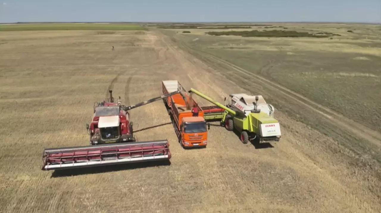 Елімізде астық экспортын қолдауға 7 млрд теңге бөлінді