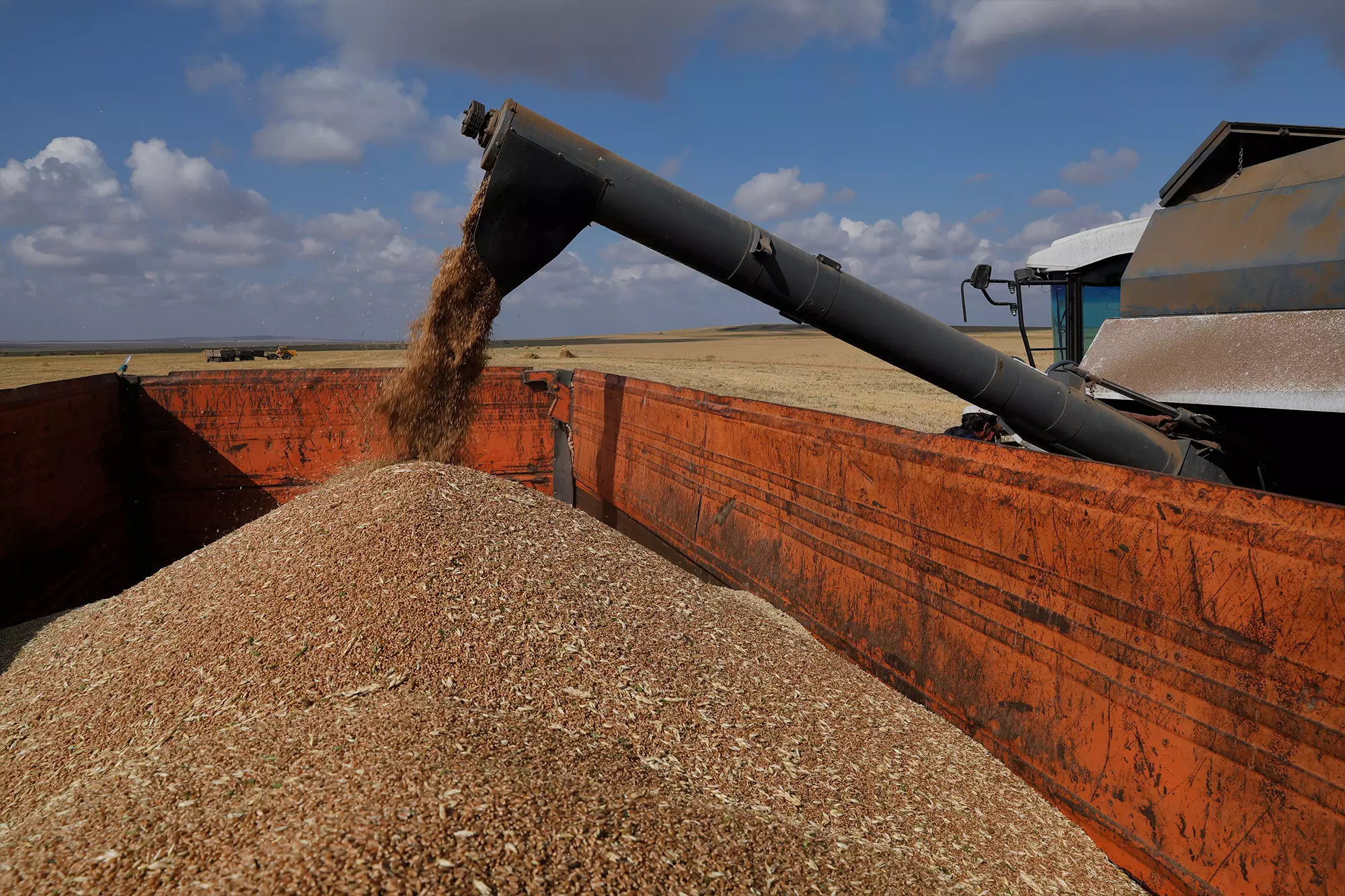 Венгерская группа UBM подтвердила планы инвестировать в комбикормовую промышленность Казахстана.