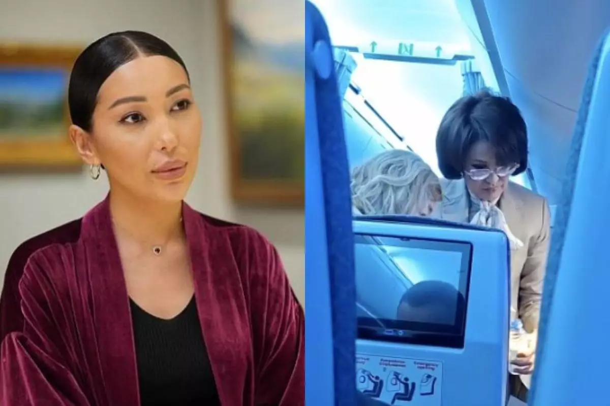 «Пиар үшін ұйымдастырылған»: Журналист министр Әлназарованың ұшақтағы әрекетін әшкереледі (ФОТО)