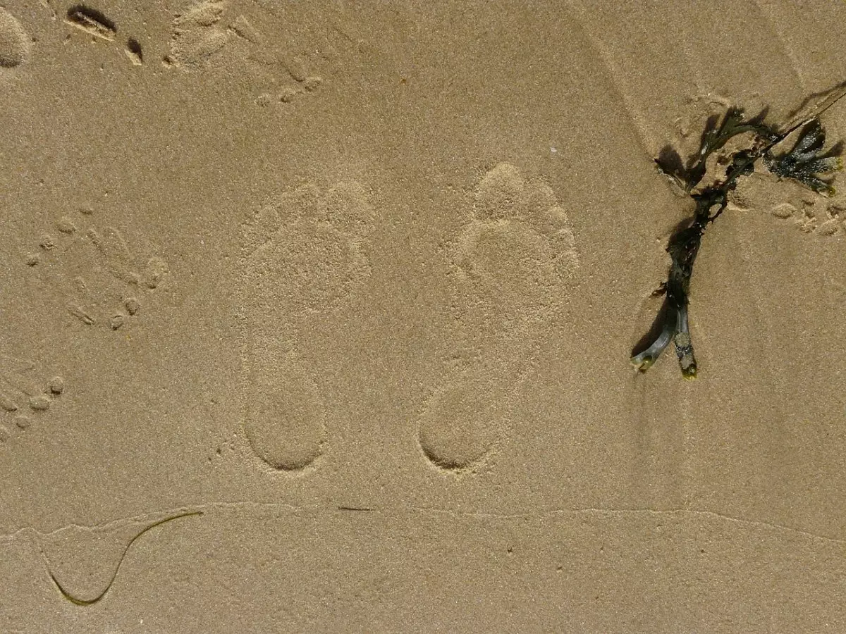 Автопутешественники потерялись в песчаной зоне Жамбылской области