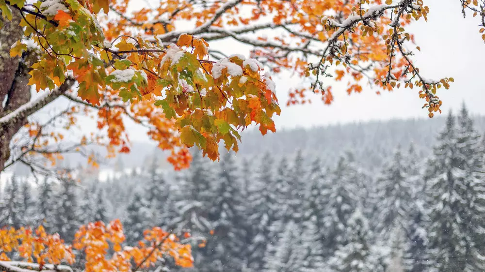 Прогноз погоды в Казахстане на воскресенье: снег, туман и до +13 тепла