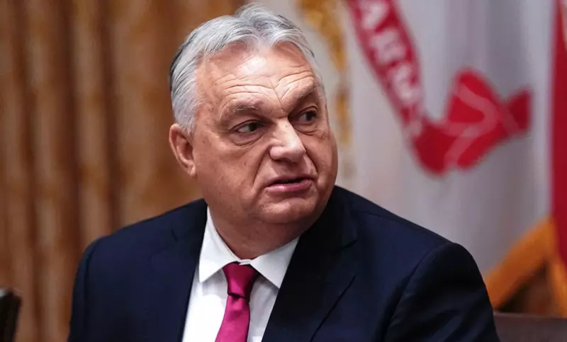 Орбан заявил, что Украина должна остаться буфером между Россией и НАТО