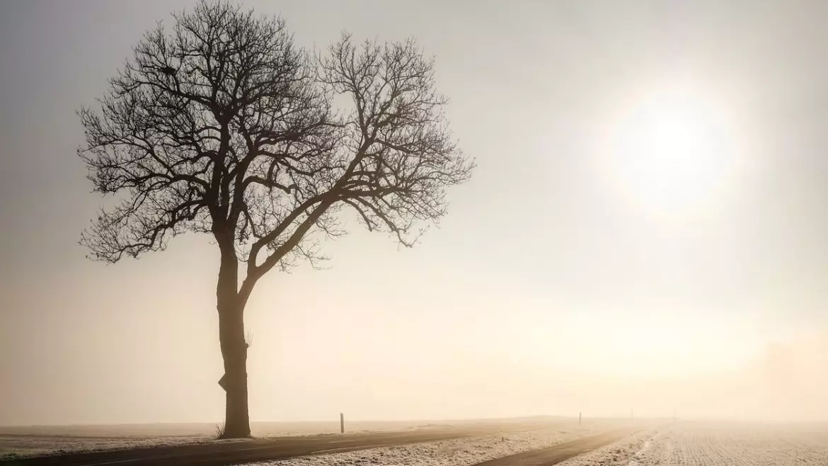 Еліміздің 11 өңірінде дауылды ескерту жарияланды