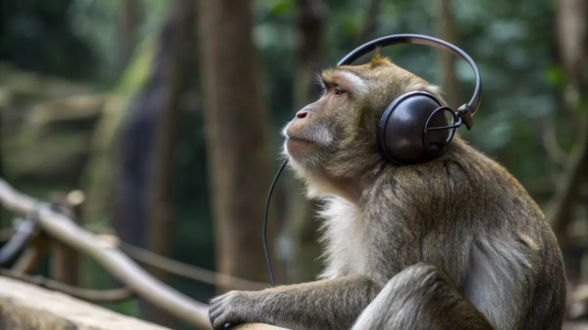 Обезьяны научились «ловить бит»: учёные пересмотрели происхождение ритма