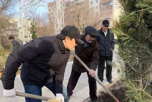 Таза Қазақстан: 150 сосен высадили в Актобе