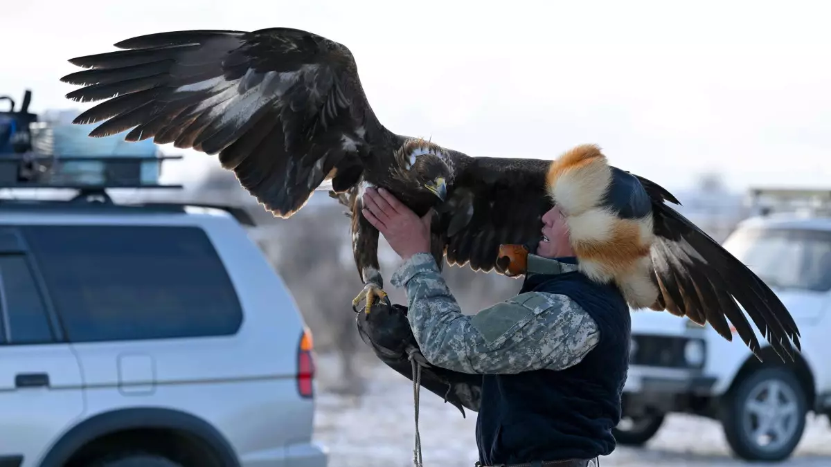 В области Абай прошёл республиканский турнир сокольников «Абай салбурыны – 2025».
