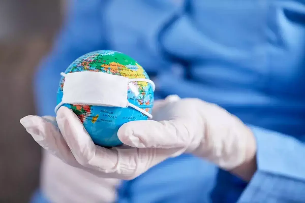 Грядёт ли пандемия опаснее COVID-19: учёные предупреждают о птичьем гриппе