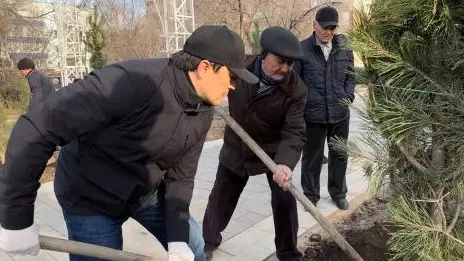 "Таза Қазақстан": Ақтөбеде 150 түп ағаш отырғызды
