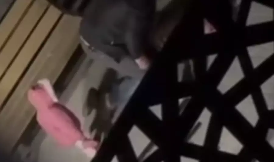 Таразда баласының көзінше әйелін сабаған ер адам ұсталды