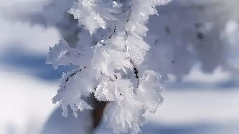 Боран, тұман, көктайғақ: Бірнеше өңірде дауылды ескерту жарияланды