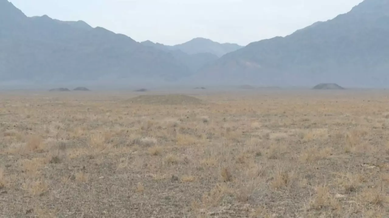 Жетісу облысында Алтынемелде петроглифтер кешені табылды