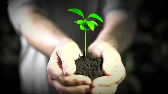 Қазақстанда экология саласындағы бірқатар стандарт бекітілді