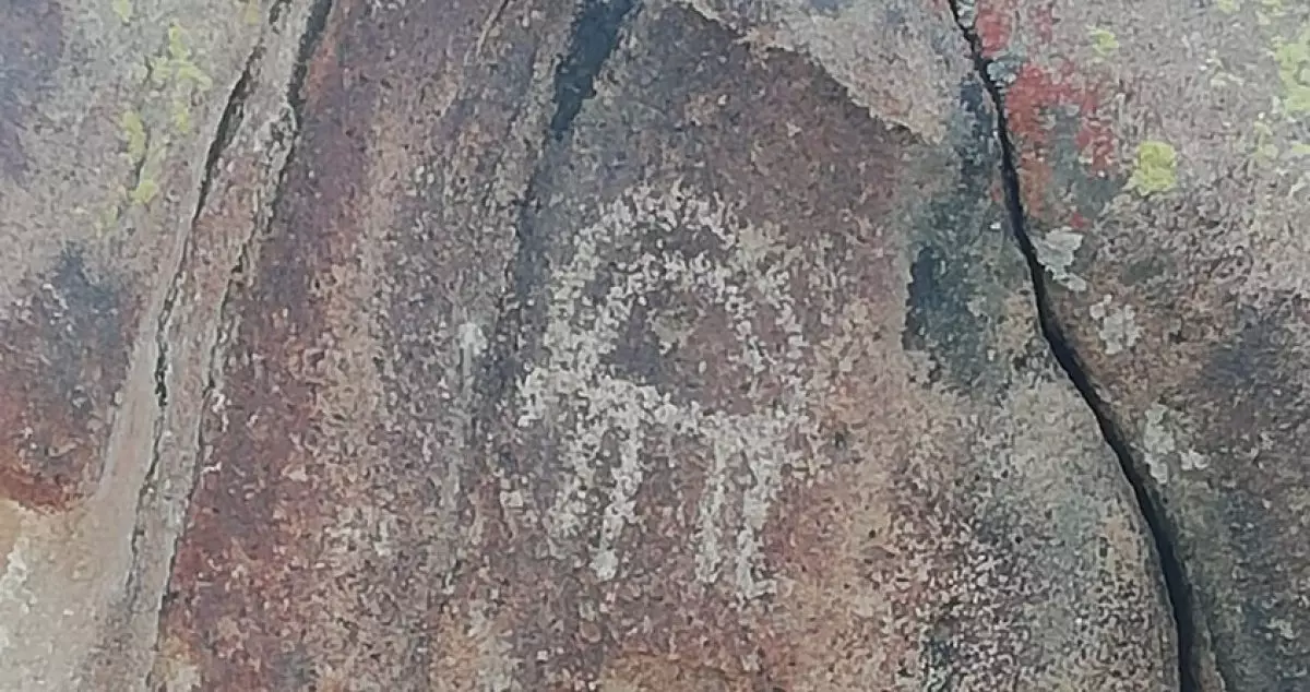 Скопление петроглифов обнаружили в Жетысуской области