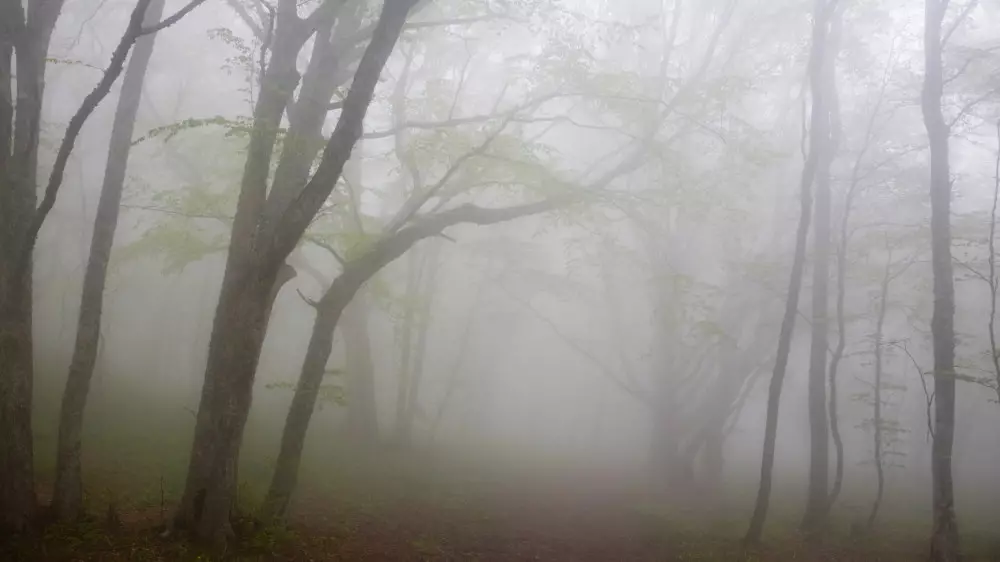 Казахстан окутает туман: штормовое предупреждение объявлено в 17 областях