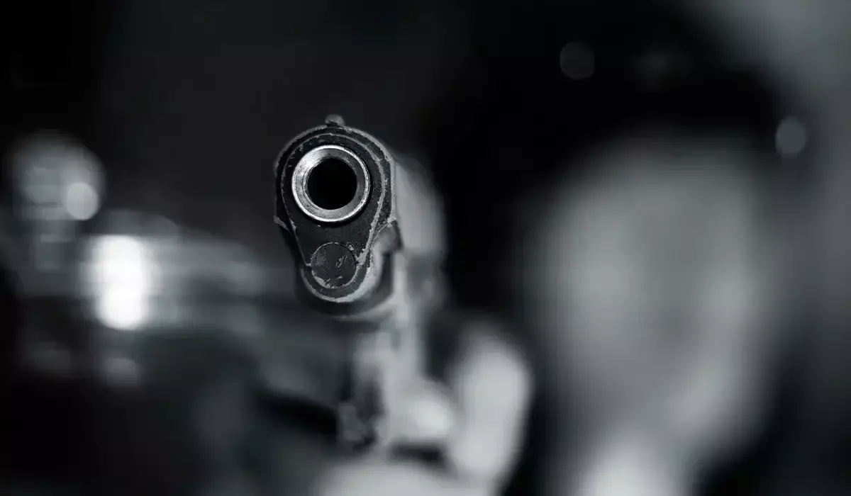 АҚШ-та белгісіз біреу баланың туған күн кешіне кіріп келіп, 4 адамды өлтірді