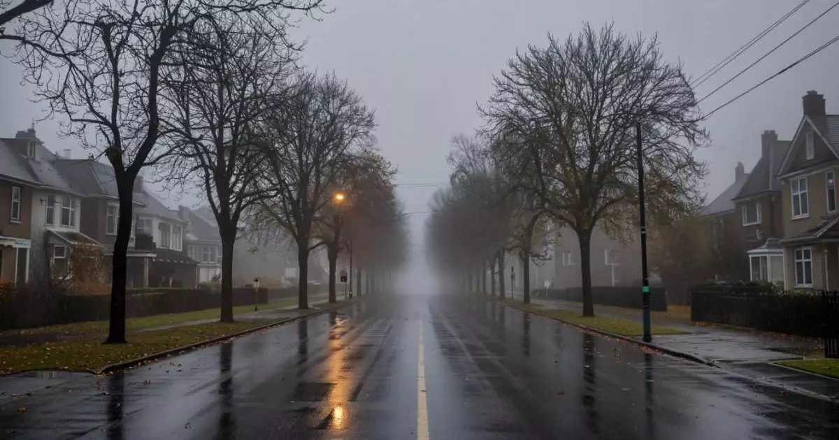  1 желтоқсанға арналған ауа райы болжамы 