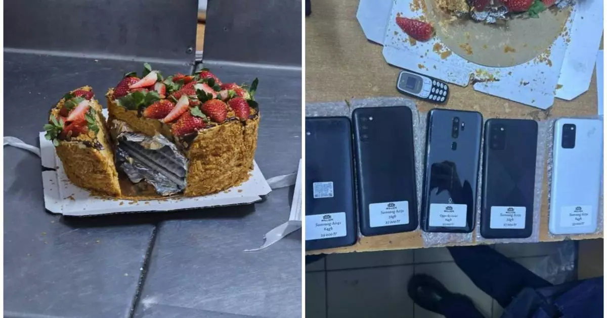  Астанадағы изоляторға тортқа 7 телефонды жасырып өткізбек болған 