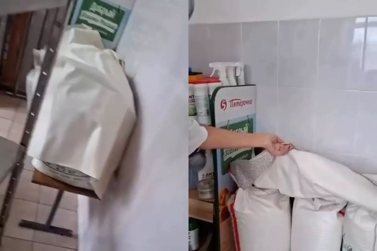 Петропавлда мектеп асханасынан құрт-құмырсқа табылды