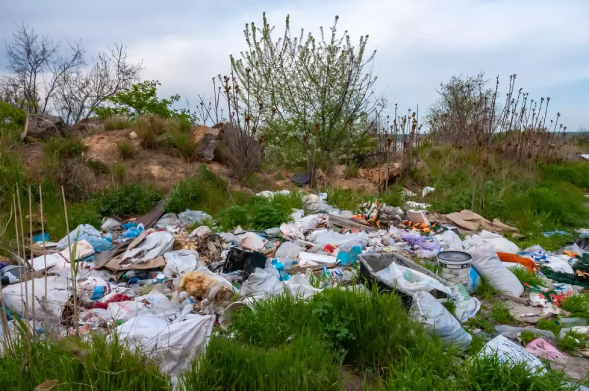 Как в Петропавловске улучшают экологическую обстановку
