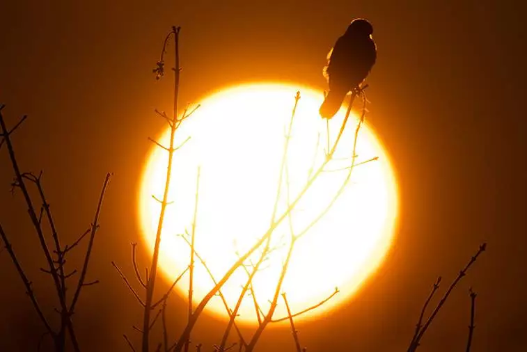 На Солнце зафиксирована мощная вспышка