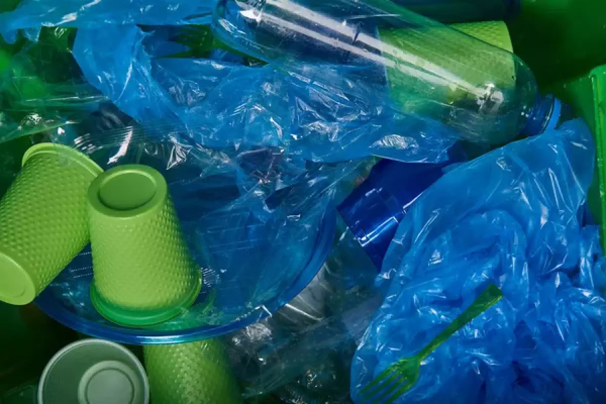 Түркістанда қоғамдық орындарды ластағандарға 210 млн теңгеге жуық айыппұл салынды