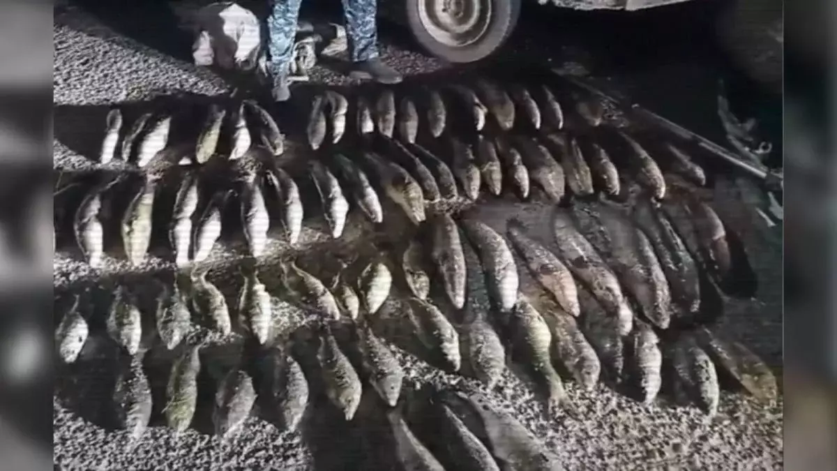 Қазақстанда 4 мыңнан астам адам браконьерлік бойынша істі болды