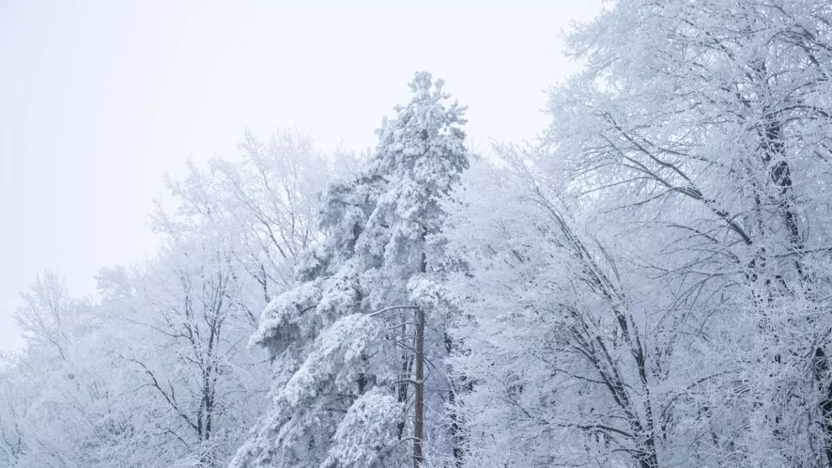 «35 градус аяз»: Қазақстанда қыстың алғашқы айында ауа райы қандай болады