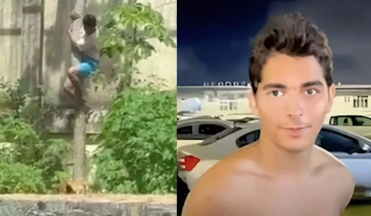 Львица насмерть загрызла мужчину в зоопарке в Бразилии (ВИДЕО)