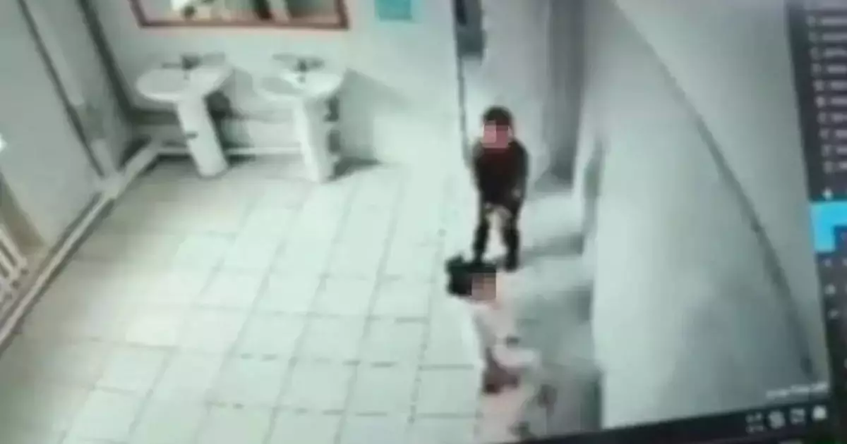  `Девочку затащили в туалет`: аким Карашукеев прокомментировал ситуацию 