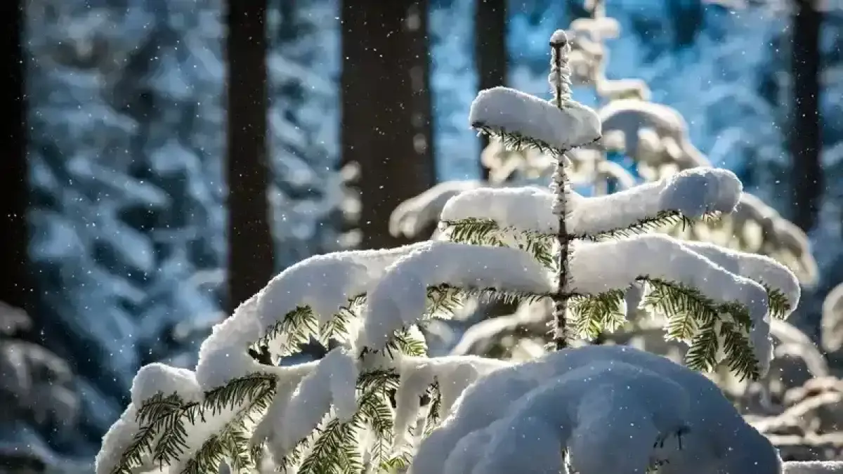 Бүгін Астана ауа-райы қандай болады?