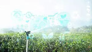 В Казахстане разработали технологию орошения дренажными водами.