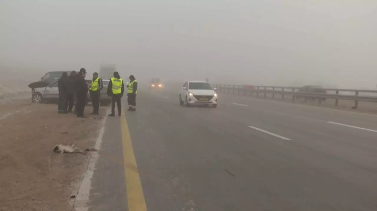 Алматы - Өскемен тас жолында 11 көлік апатқа ұшырады